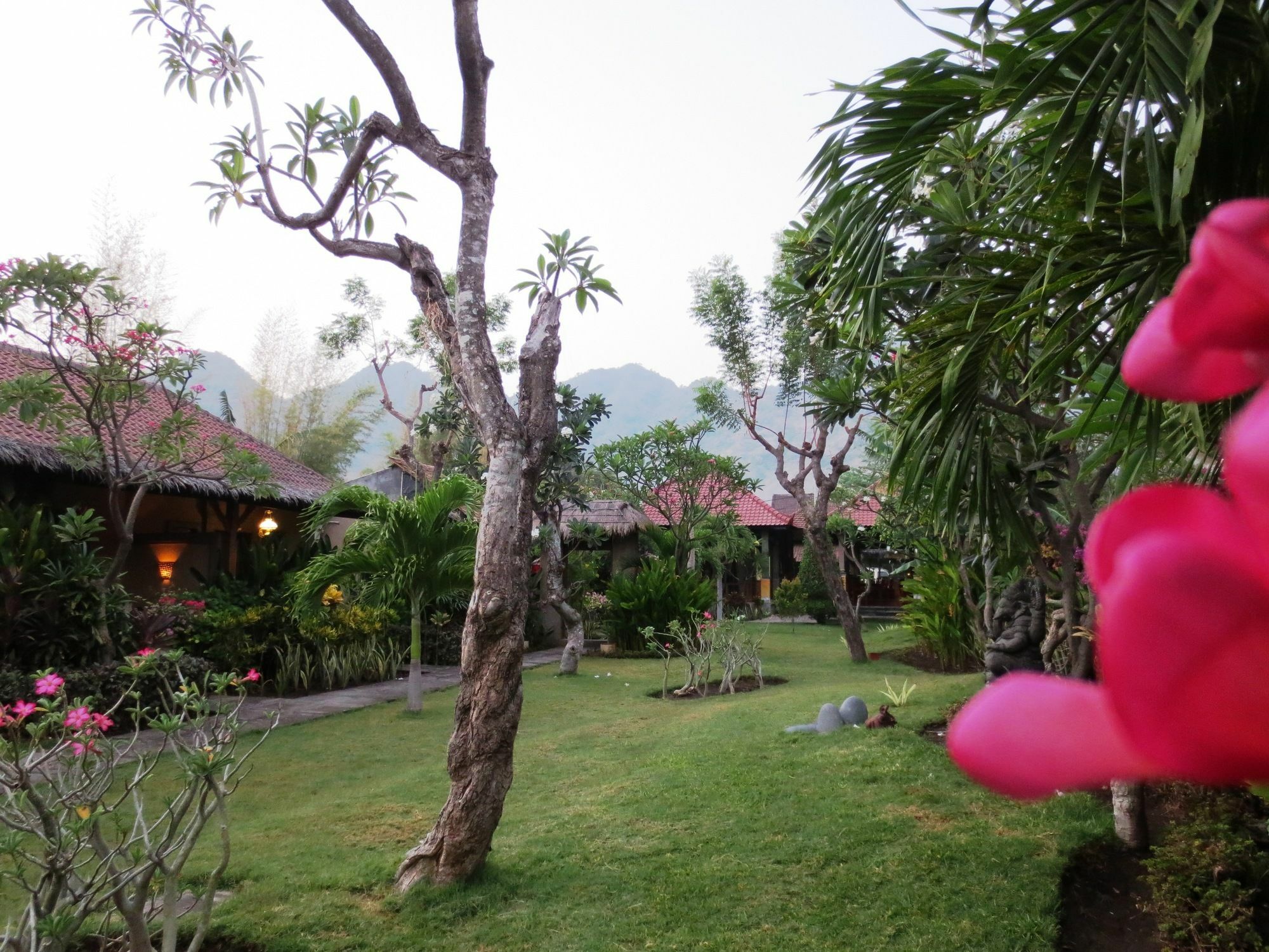 Taruna Boutique Homestay & Spa Pemuteran Exterior foto